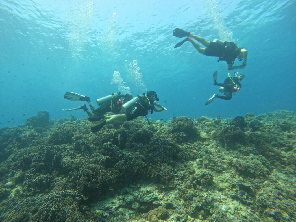 Certified divers exploring reefs in Gili Trawangan on a fun dive
