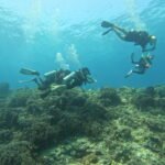 Best Dive Sites in Gili Trawangan (2026 Guide)