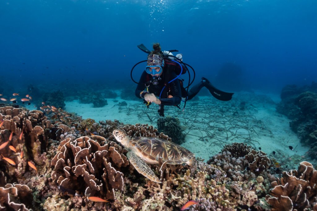 Diver swimming with a sea turtle in Gili Trawangan during a scuba diving experience