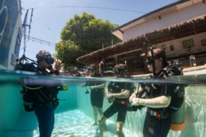 Open Water Diver course training